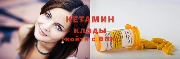 индика Каменногорск