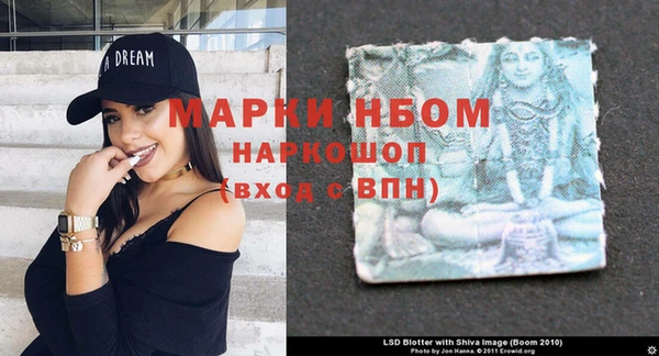 ГАЛЛЮЦИНОГЕННЫЕ ГРИБЫ Карпинск