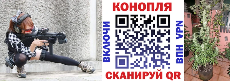 где купить наркотик  Сольцы  Канабис THC 21% 